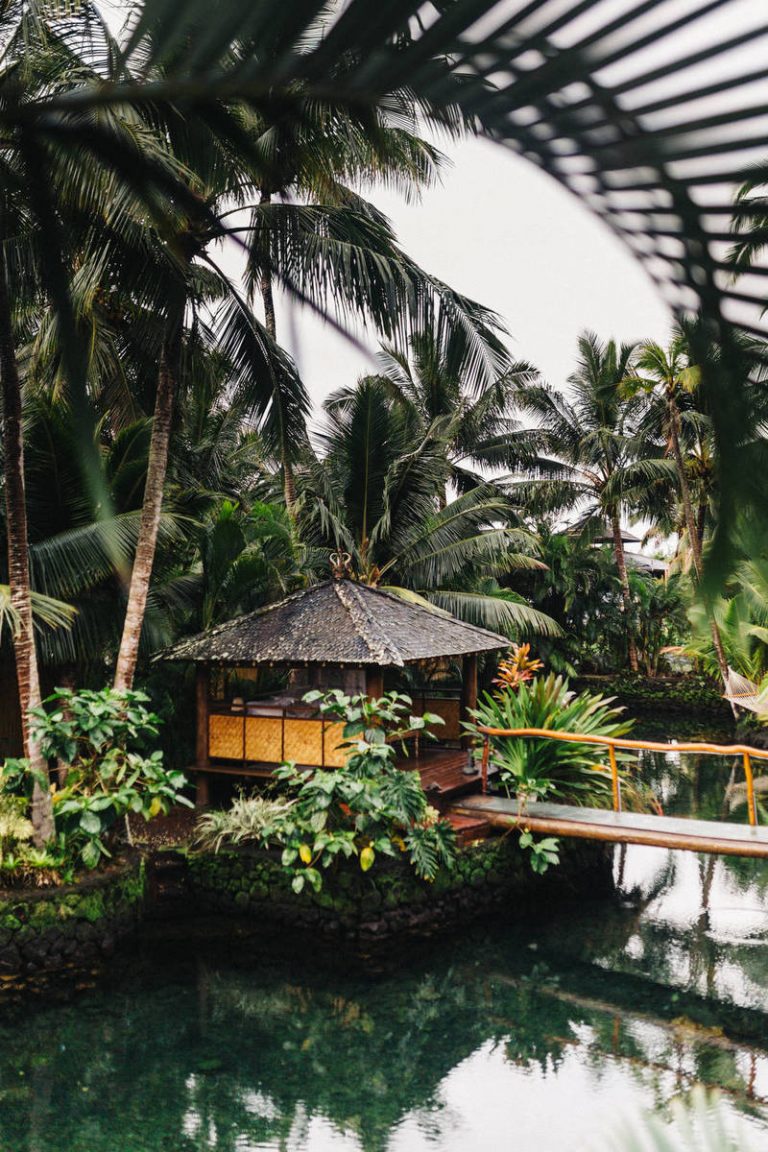 Things to Let Go Now for a Healthy New Year